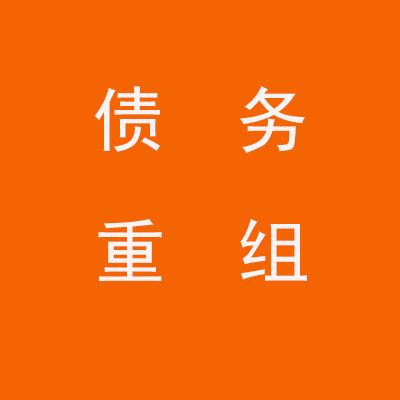 贞丰个人债务重组优化